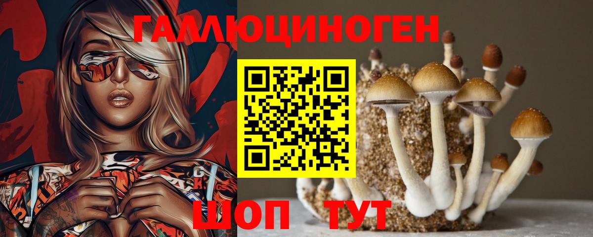 купить наркотик  Вход с VPN  Обь  Псилоцибиновые грибы Psilocybine cubensis 