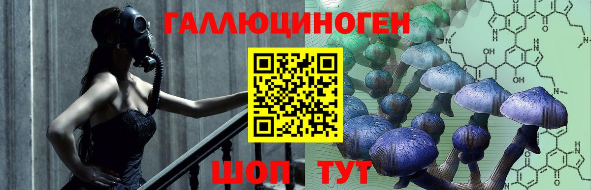 Псилоцибиновые грибы мицелий Обь