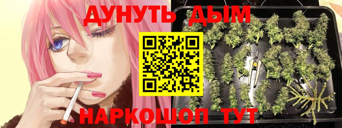 Бошки марихуана индика Обь